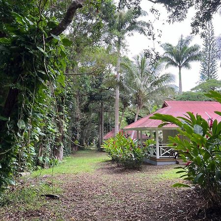 Evasion Bungalow D'Antan Spa Sarramea Екстер'єр фото