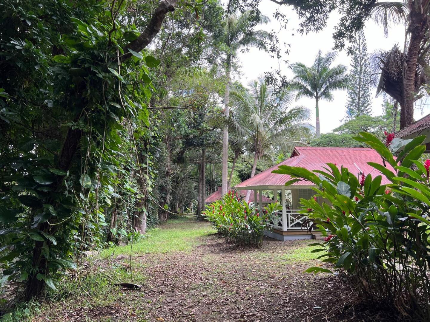 Evasion Bungalow D'Antan Spa Sarramea Екстер'єр фото